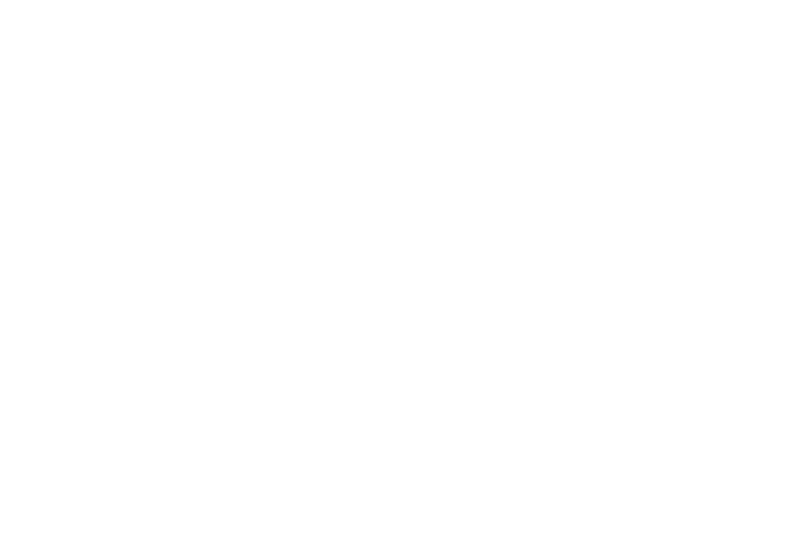 Torch Finalist Logo White Torch Finalist Logo White